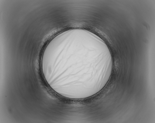 X0000114200682200911061425