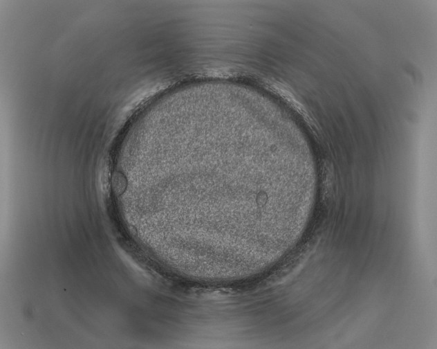 X0000114200683200911061425