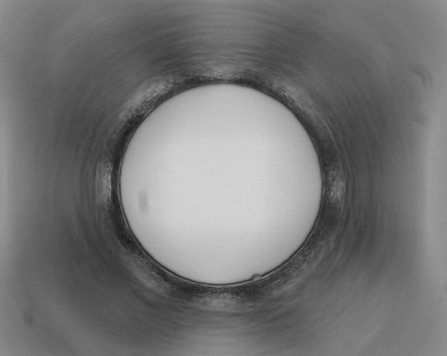 X0000114200685200911061425