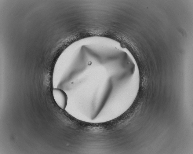 X0000114200689200911061425