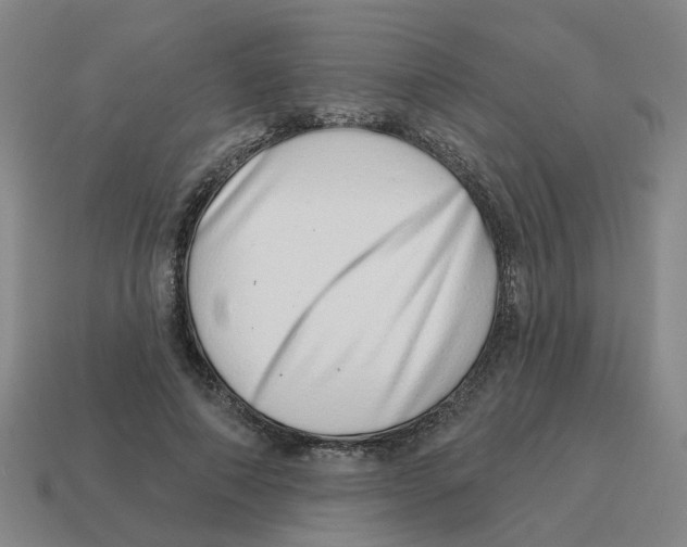 X0000114200690200911061425