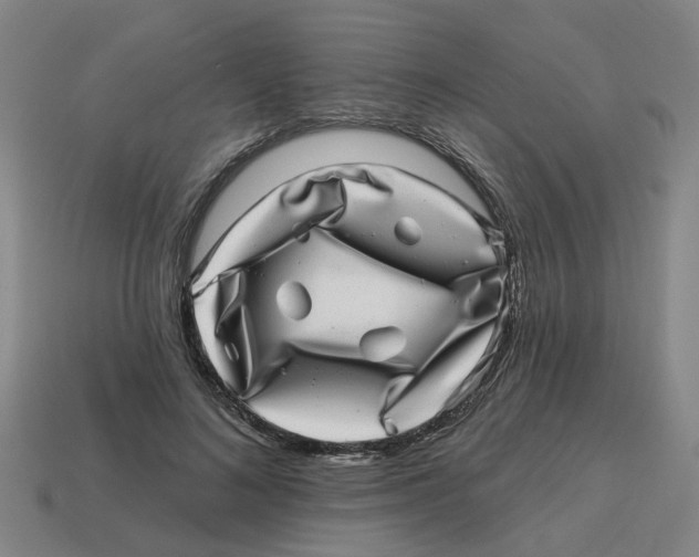 X0000114200692200911061425