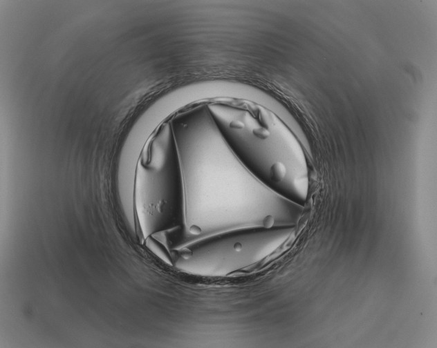 X0000114200693200911061425