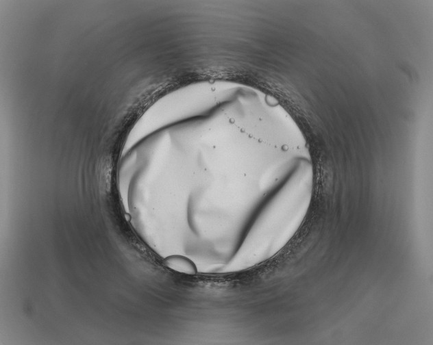 X0000114200694200911061425