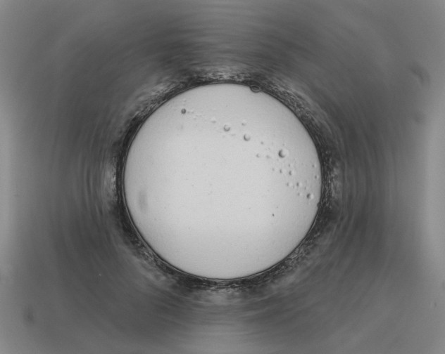 X0000114200696200911061425