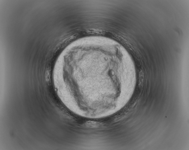 X0000114200699200911061425