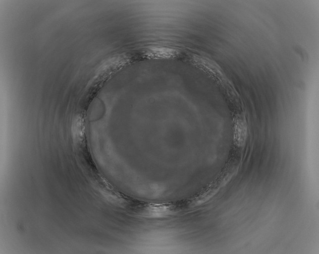 X0000114200701200911061425