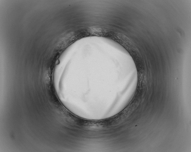 X0000114200702200911061425