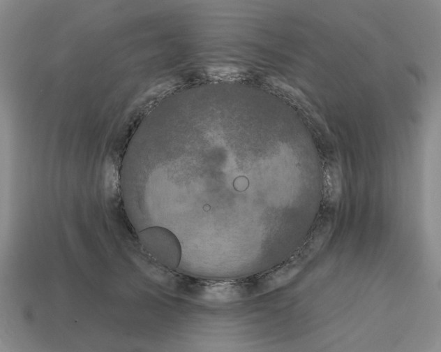 X0000114200705200911061425