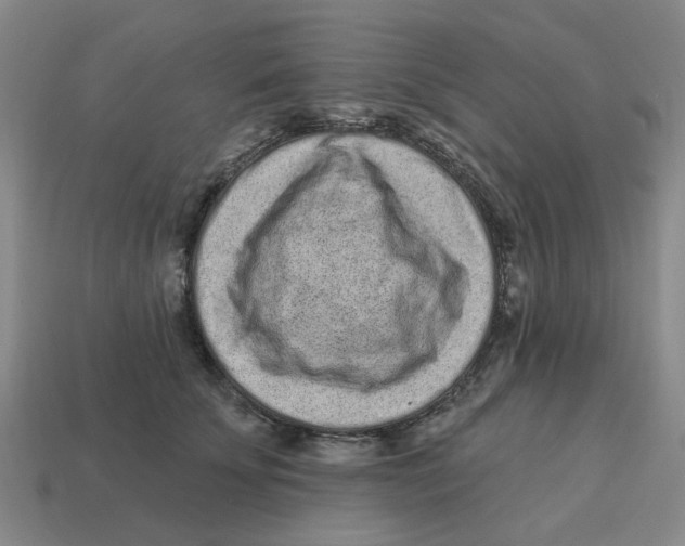 X0000114200707200911061425