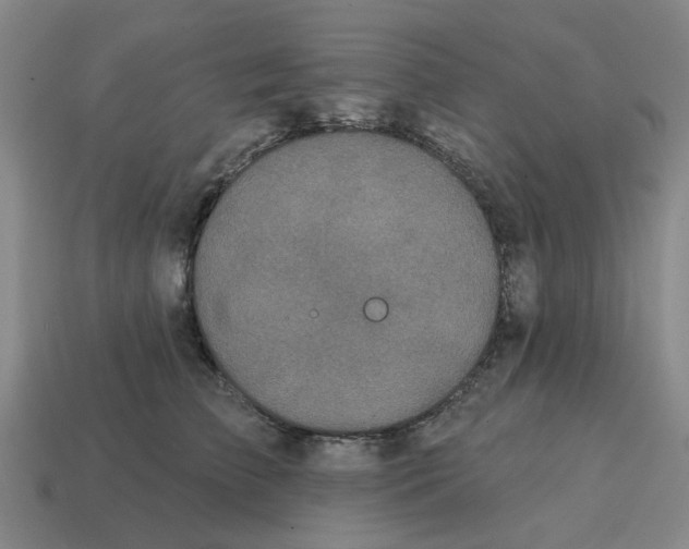 X0000114200709200911061425