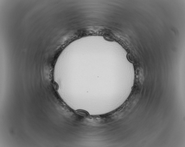 X0000114200712200911061424