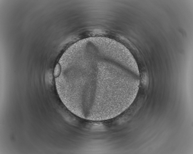 X0000114200715200911061424