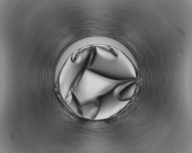 X0000114200716200911061424