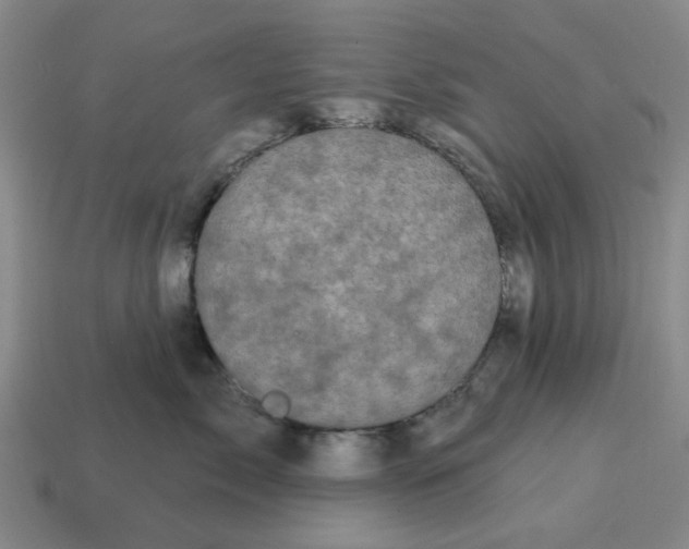 X0000114200717200911061424