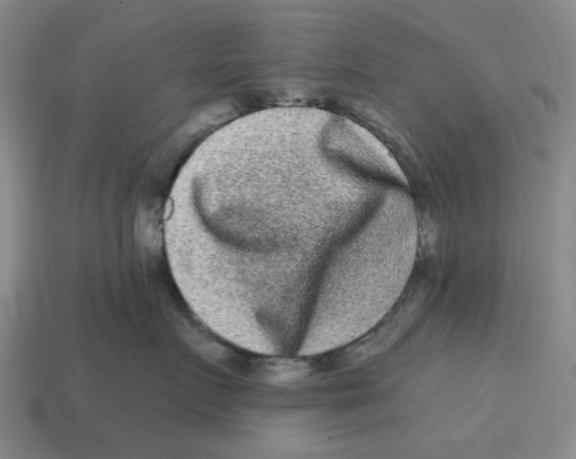 X0000114200719200911061424