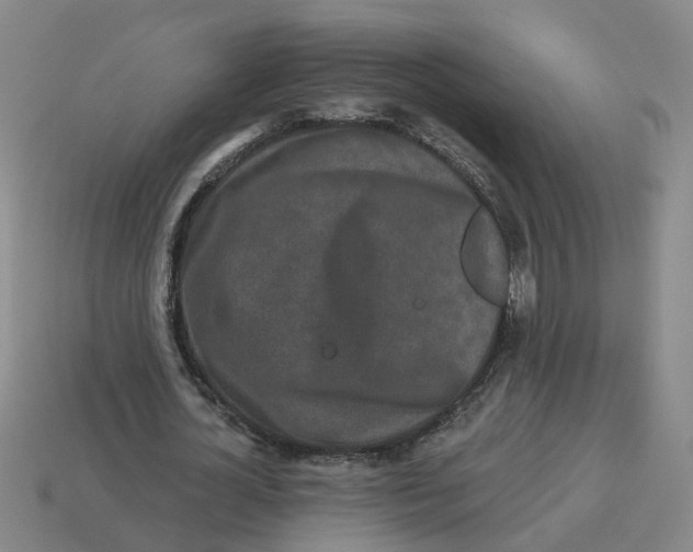 X0000114200724200911061424