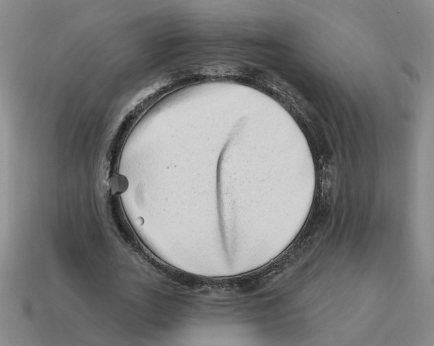 X0000114200727200911061424