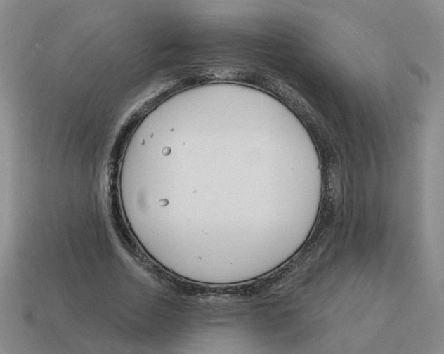 X0000114200730200911061424