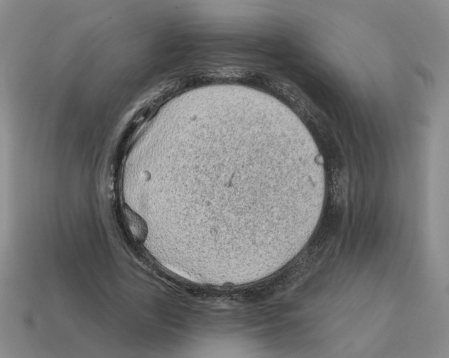 X0000114200731200911061424