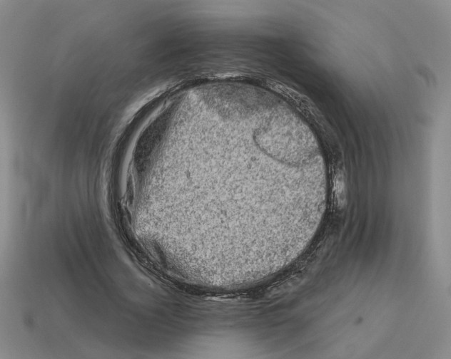 X0000114200732200911061424