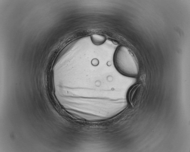 X0000114200734200911061424