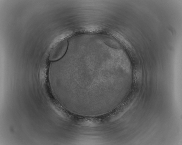 X0000114200736200911061424