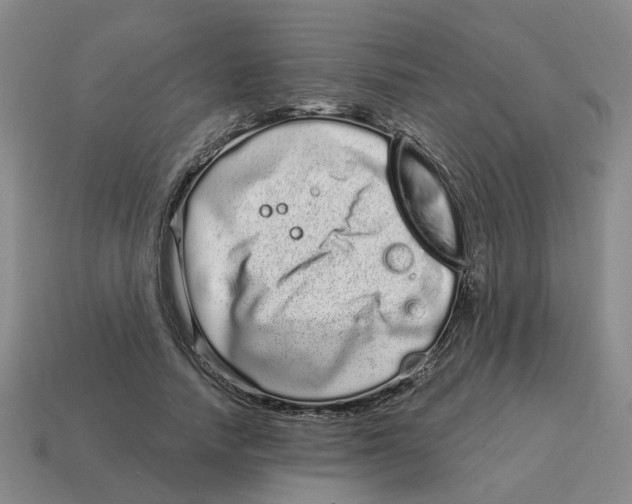 X0000114200738200911061424