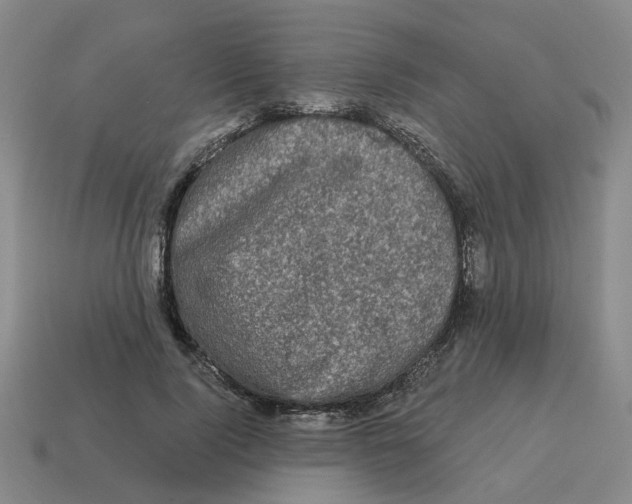 X0000114200740200911061424