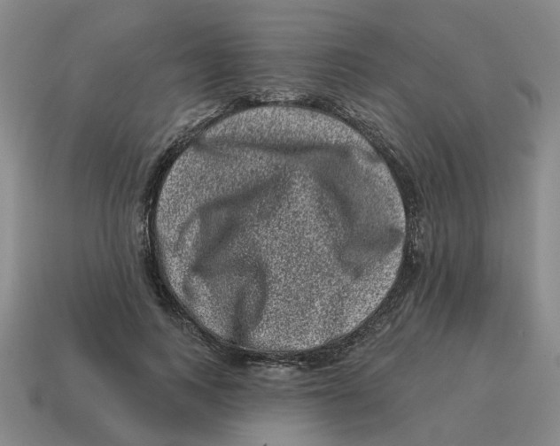 X0000114200743200911061424