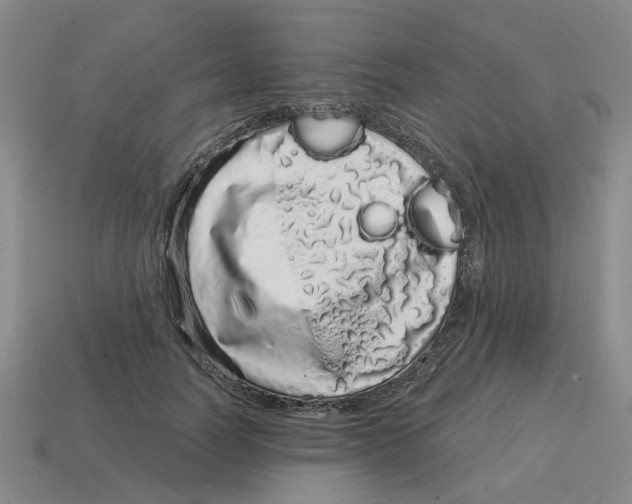 X0000114200746200911061424