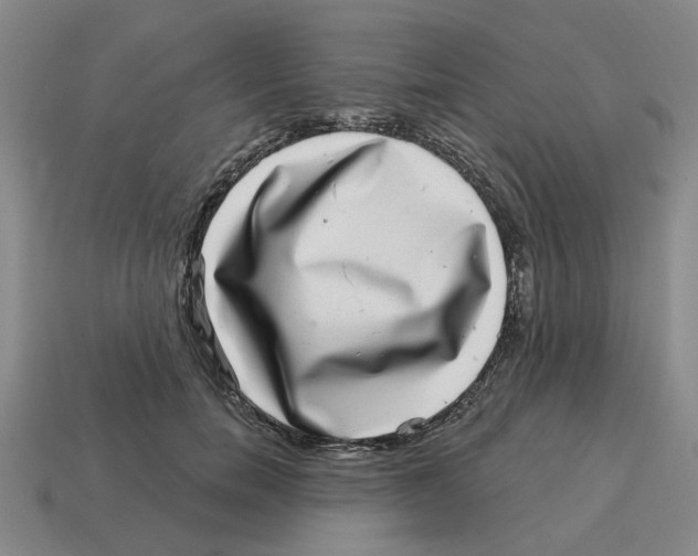 X0000114200750200911061424