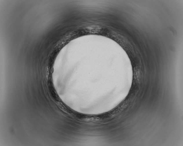 X0000114200752200911061424