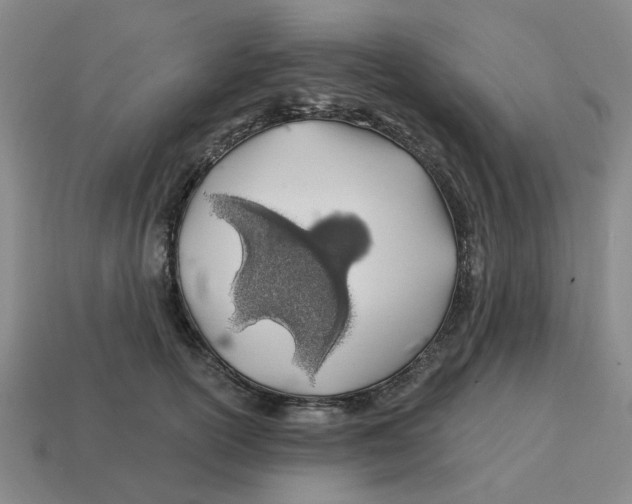 X0000114200754200911061424