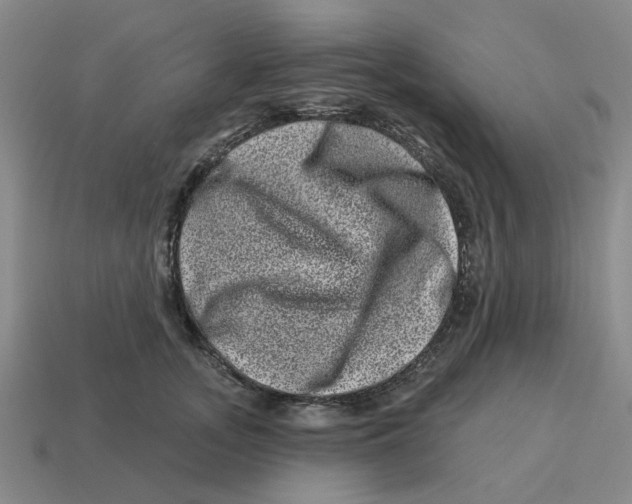 X0000114200755200911061424