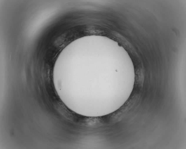 X0000114200762200911061424