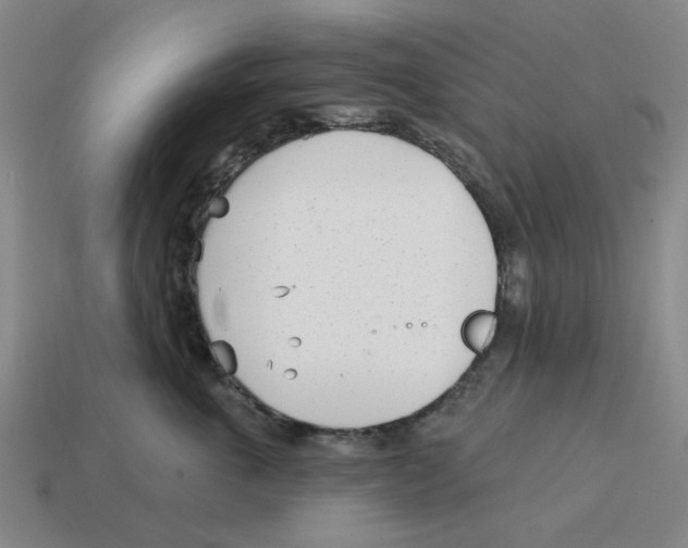 X0000114200763200911061424