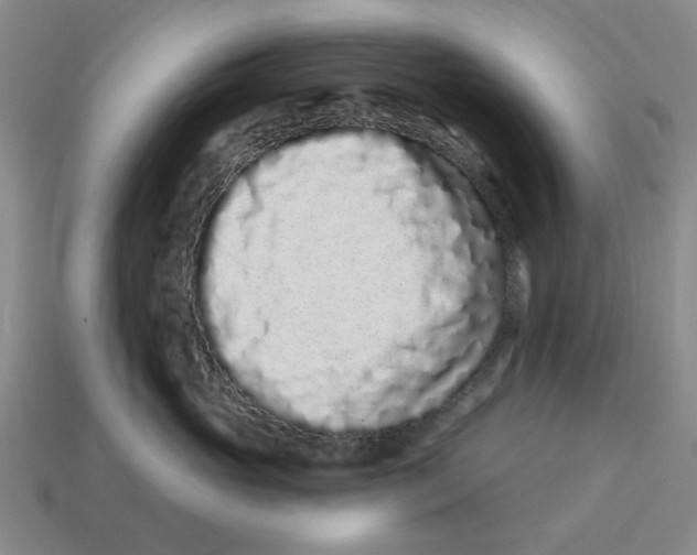 X0000114200765200911061424