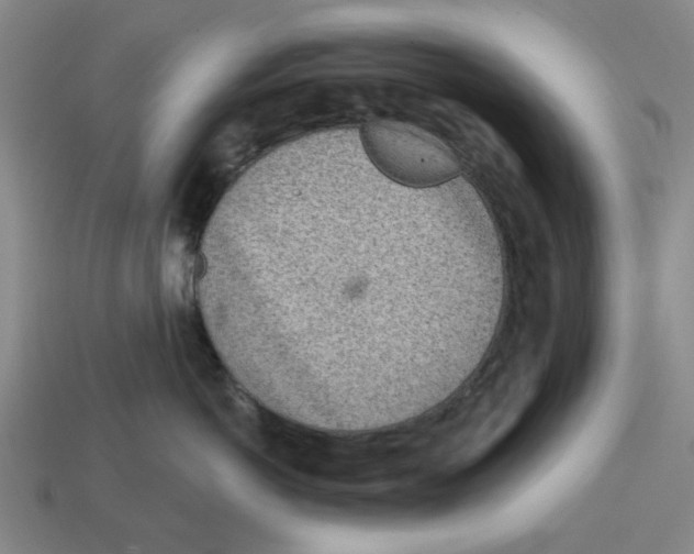 X0000114200766200911061424