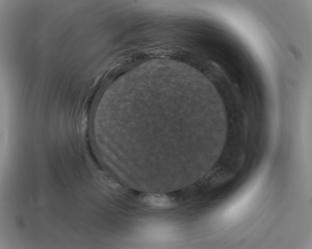 X0000114200767200911061424