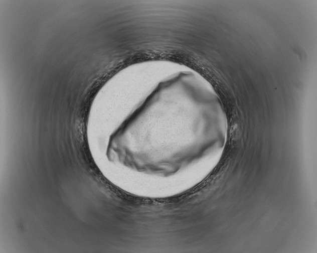 X0000114200772200911061424