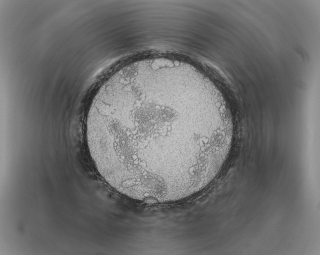 X0000114200776200911061424