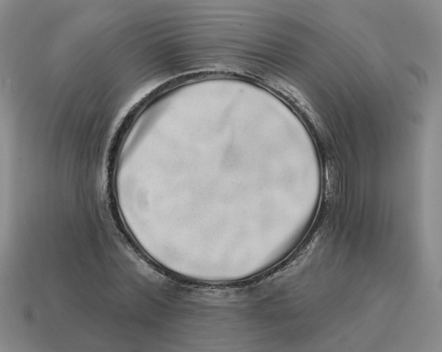 X0000114200780200911061424