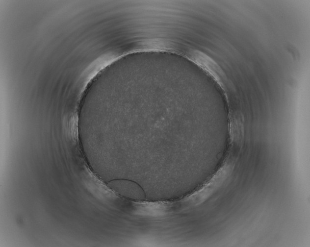 X0000114200781200911061424