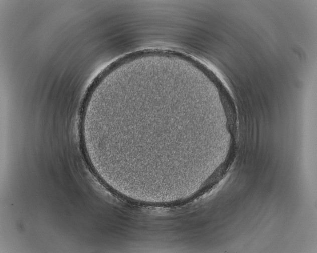 X0000114200783200911061424