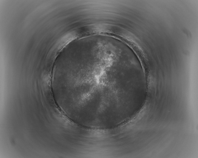 X0000114200785200911061424