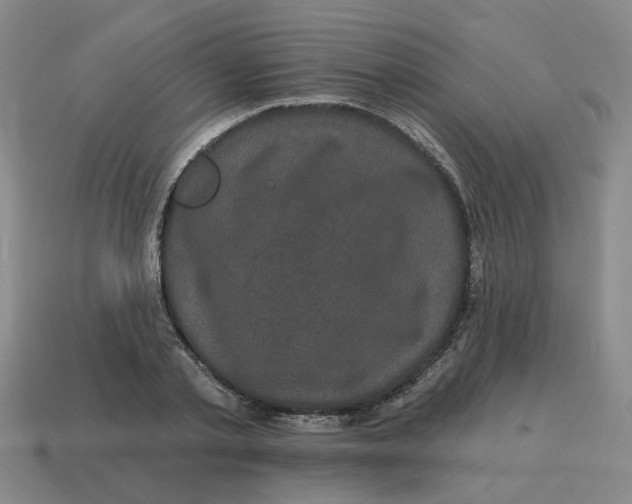 X0000114200789200911061423