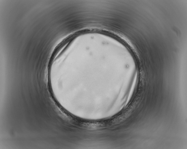 X0000114200791200911061423