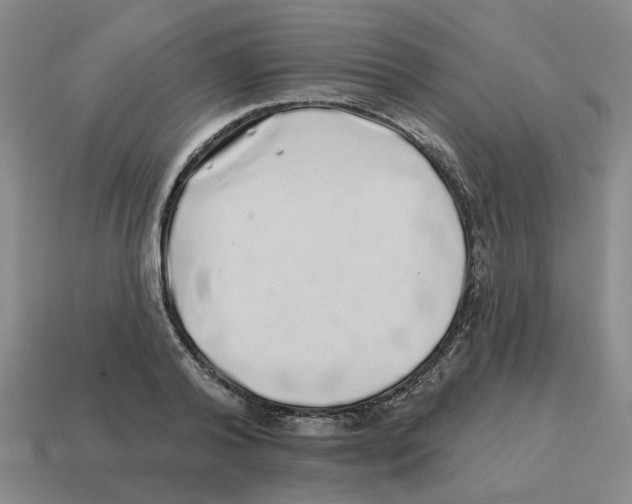 X0000114200792200911061423