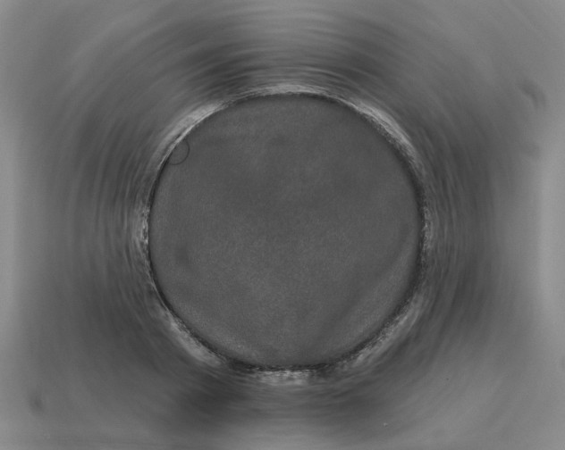 X0000114200793200911061423